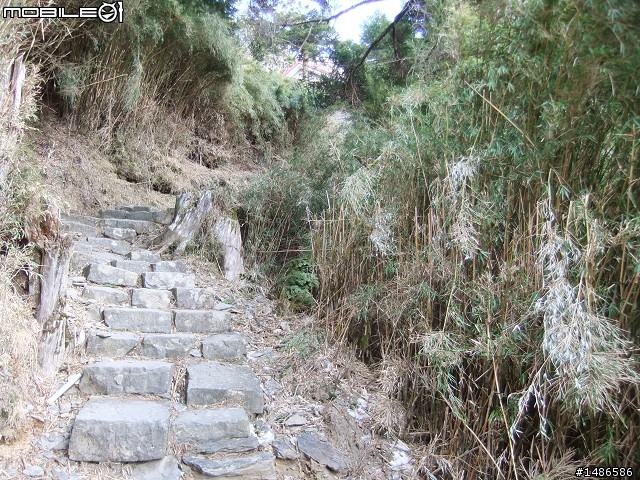 玉山暴走