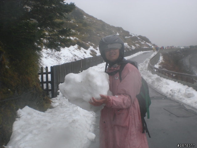 1/21 終於衝上去合歡山 武嶺了   都是雪