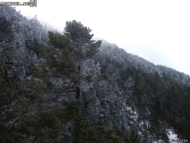 玉山暴走
