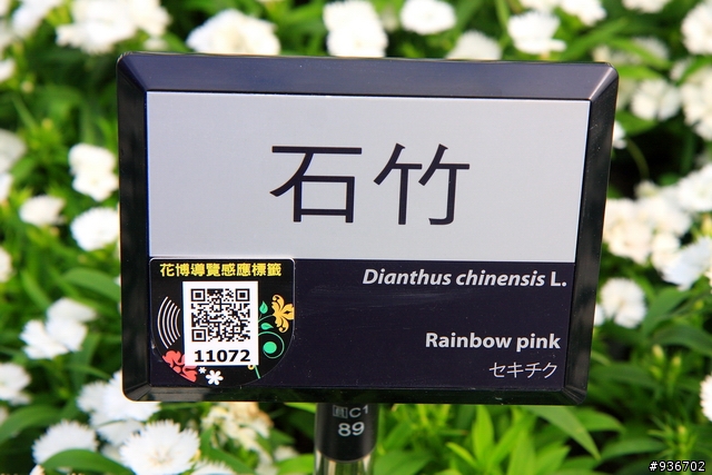 40D+17-55 第三次來花博拍照