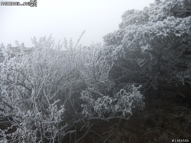 玉山暴走