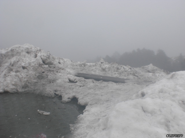 1/21 終於衝上去合歡山 武嶺了   都是雪
