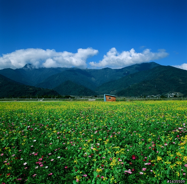 2011花東慢活底片行