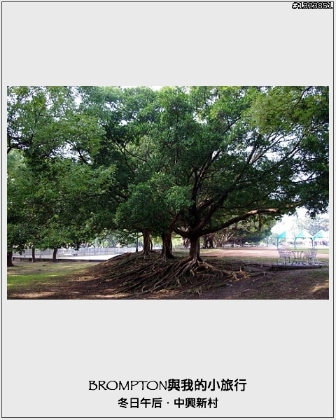 <BROMPTON與我的小旅行>冬日午后．中興新村