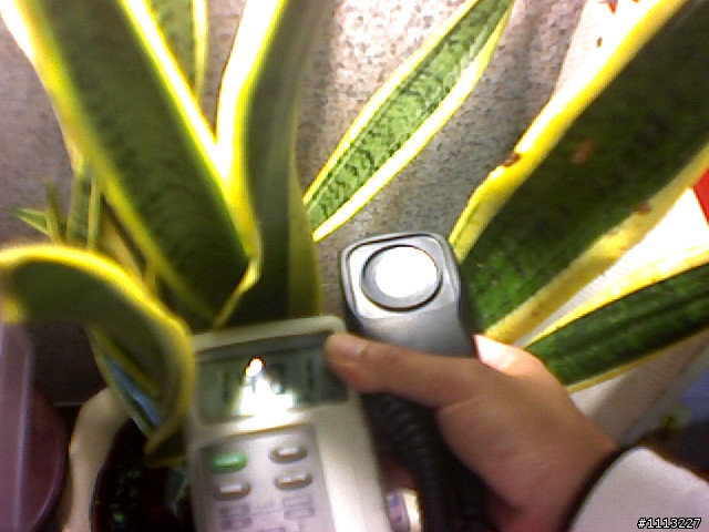 室內植物 與 CO2變化 測試未完成