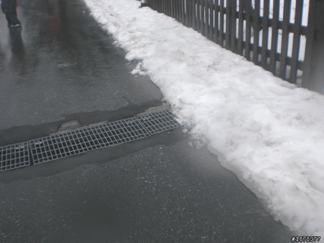 1/21 終於衝上去合歡山 武嶺了   都是雪