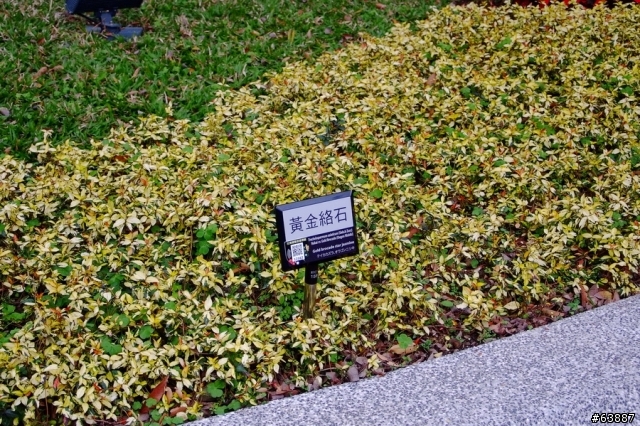 windwithme體驗第2代Intel Core(酷睿)處理器上市發表會