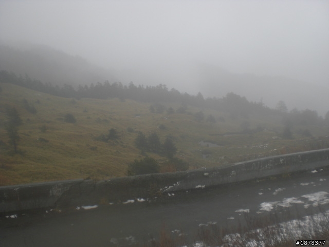 1/21 終於衝上去合歡山 武嶺了   都是雪