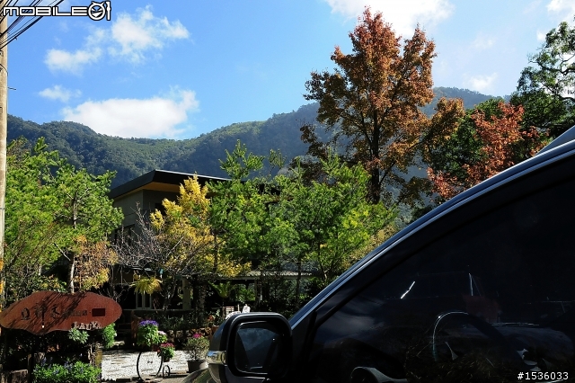 123開著Luxgen SUV到阿里山，阿里山，山上有神木，山下有便當。