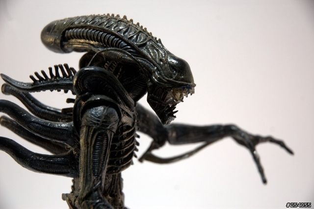 NECA AVPR Alien Warrior - 異形來襲