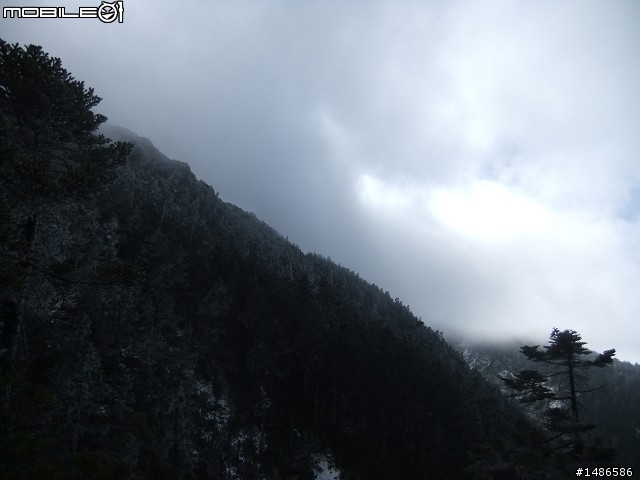 玉山暴走