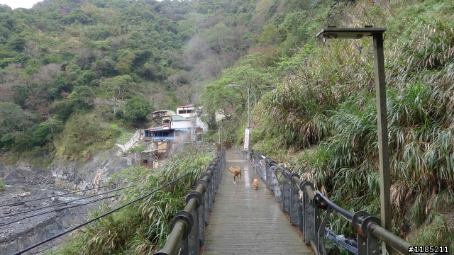 廬山泡湯幸福行