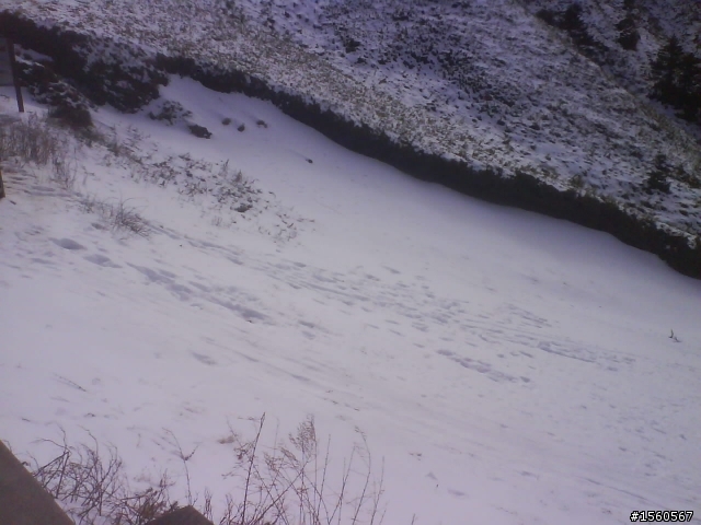 1/18 雪花飄飄武嶺去~