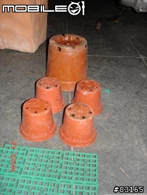 省錢小作戰_盆景DIY