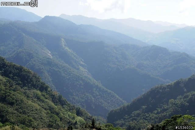 123開著Luxgen SUV到阿里山，阿里山，山上有神木，山下有便當。