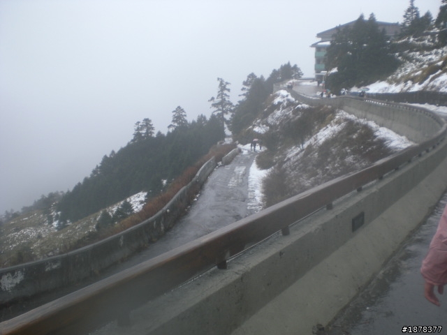1/21 終於衝上去合歡山 武嶺了   都是雪