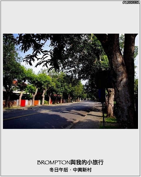 <BROMPTON與我的小旅行>冬日午后．中興新村