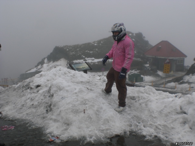 1/21 終於衝上去合歡山 武嶺了   都是雪