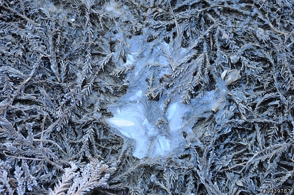 合歡山爆走兄弟在600km的旅程裡油0感動無價