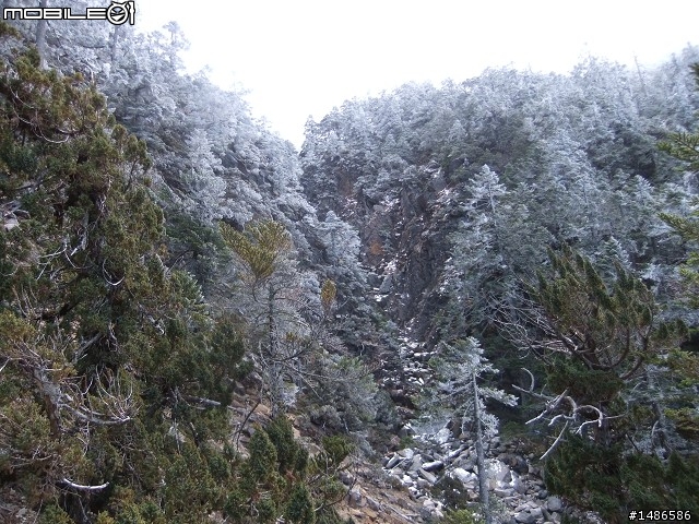 玉山暴走