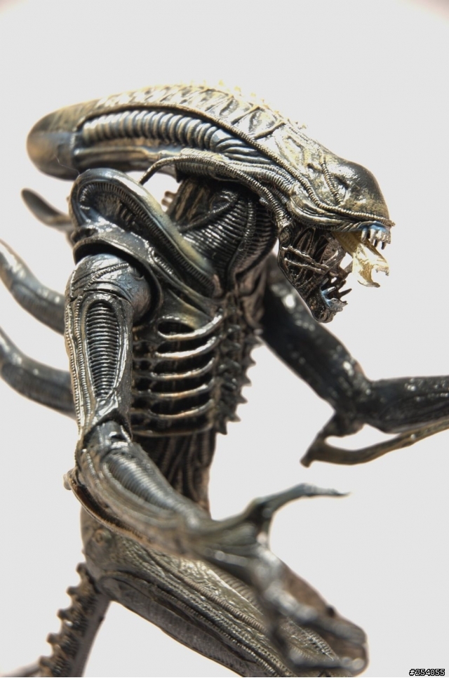 NECA AVPR Alien Warrior - 異形來襲
