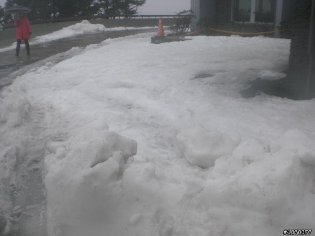 1/21 終於衝上去合歡山 武嶺了   都是雪