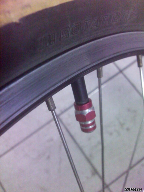 [開箱] Merida World Champion 8   (MWC8)