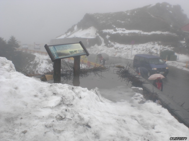 1/21 終於衝上去合歡山 武嶺了   都是雪