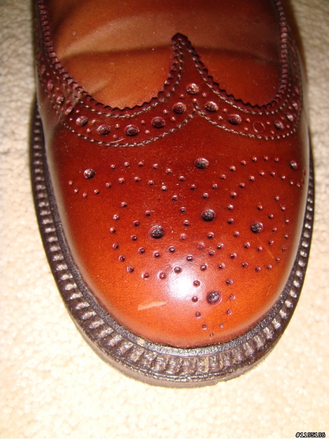 Alden Shell Cordovan Long Wing in Ravello （1/21/11補爛圖）