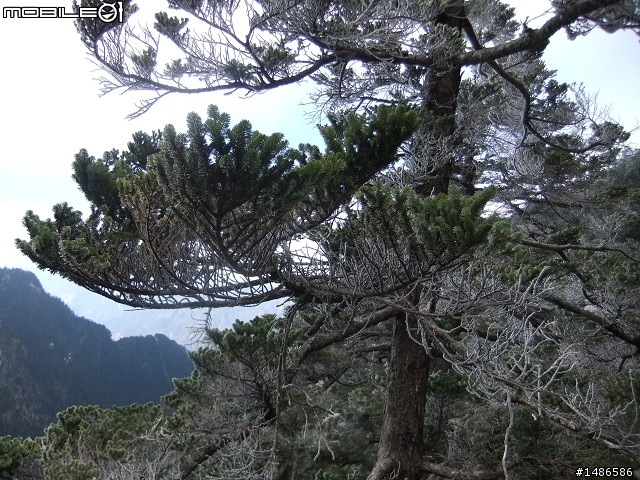 玉山暴走