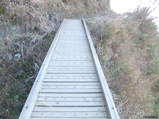玉山暴走