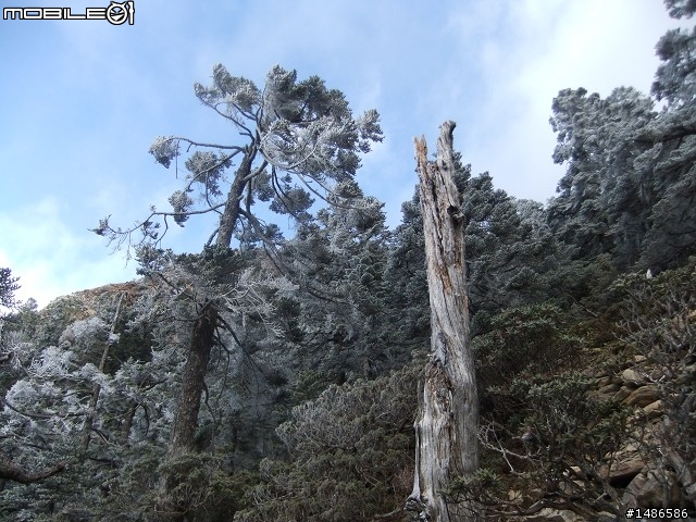 玉山暴走