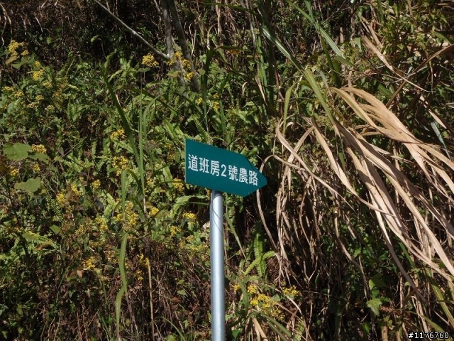 騎著 HONDA MOTOCOMPO 征服埡口 南橫之旅 ! ( 西部 )
