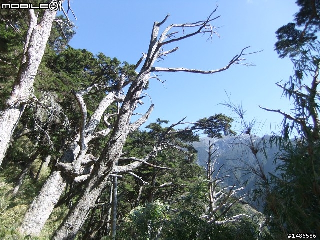 玉山暴走