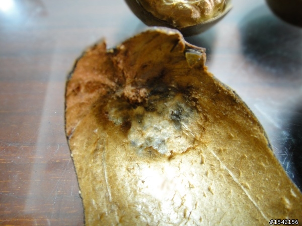 請懂羅漢果或開中藥店的朋友進來。