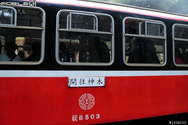 123開著Luxgen SUV到阿里山，阿里山，山上有神木，山下有便當。