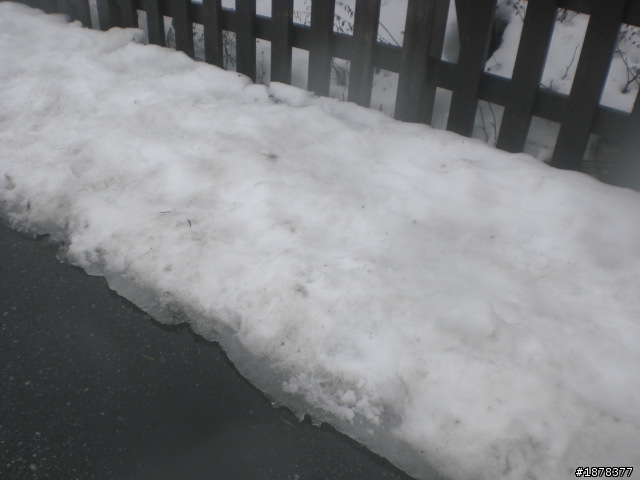 1/21 終於衝上去合歡山 武嶺了   都是雪