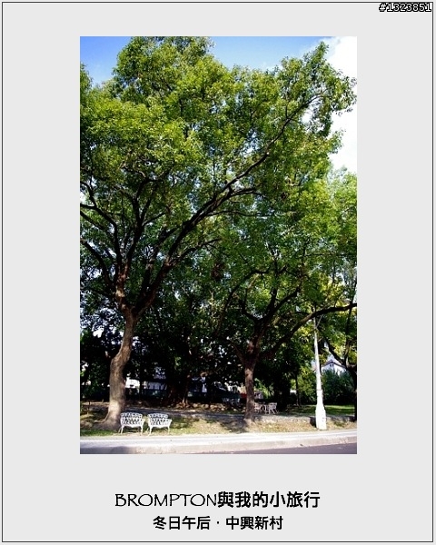 <BROMPTON與我的小旅行>冬日午后．中興新村