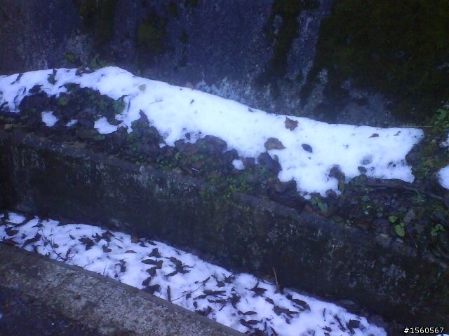 1/18 雪花飄飄武嶺去~