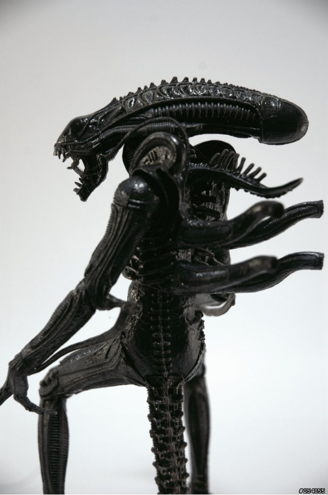 NECA AVPR Alien Warrior - 異形來襲