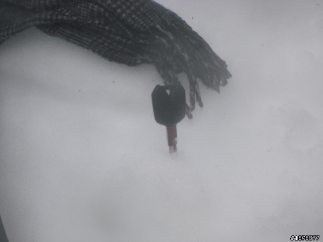 1/21 終於衝上去合歡山 武嶺了   都是雪