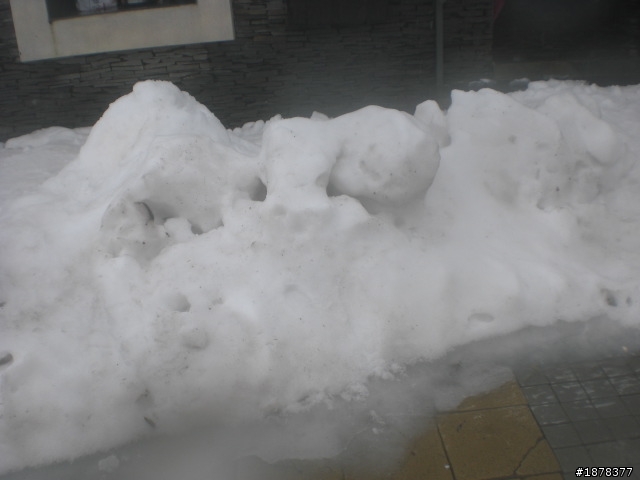 1/21 終於衝上去合歡山 武嶺了   都是雪