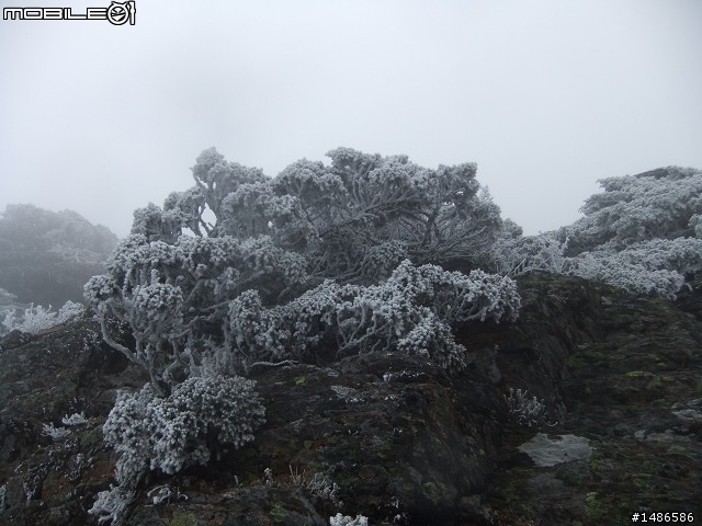 玉山暴走