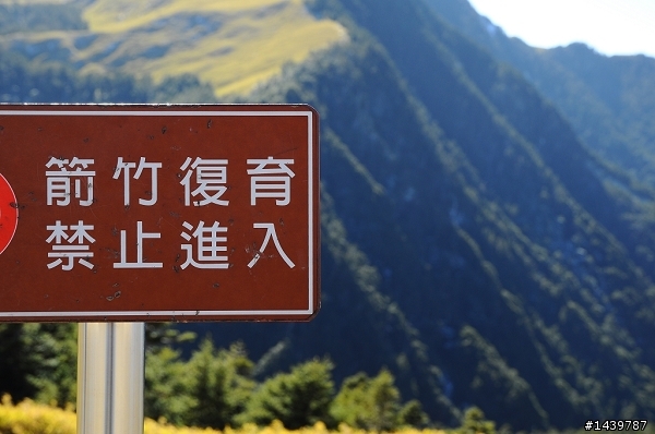 合歡山爆走兄弟在600km的旅程裡油0感動無價