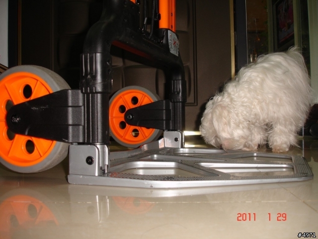 老闆加拿大帶回摺疊推車