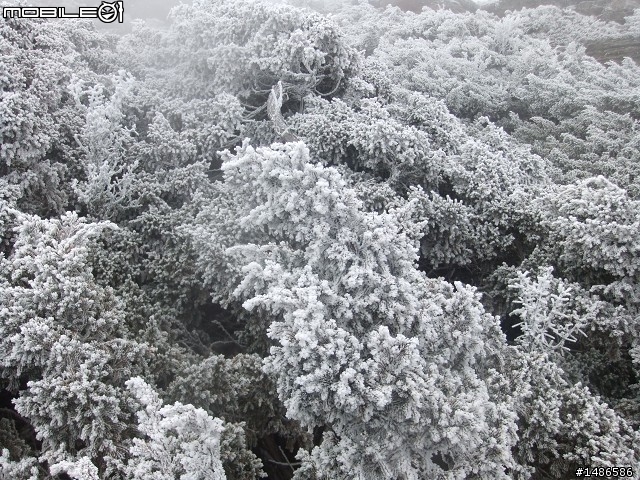 玉山暴走