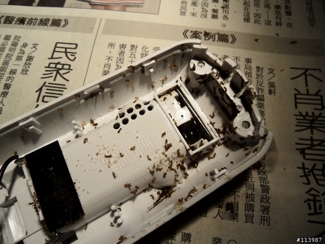 [噁心圖不喜勿入]電話螞蟻窩(新增東森新聞報導)