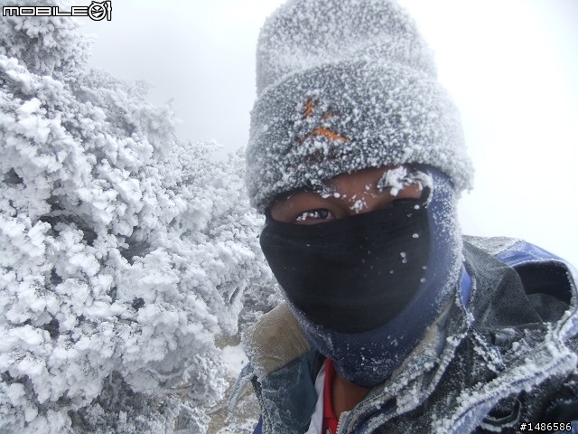 玉山暴走