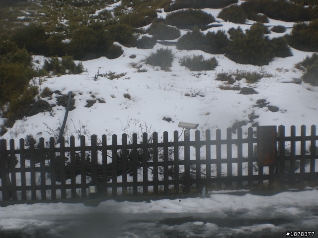 1/21 終於衝上去合歡山 武嶺了   都是雪