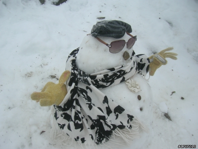 圓夢之旅~~~合歡賞雪記!